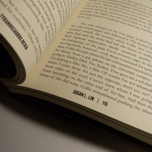 T-REXIA: A Thesis (sample pages)